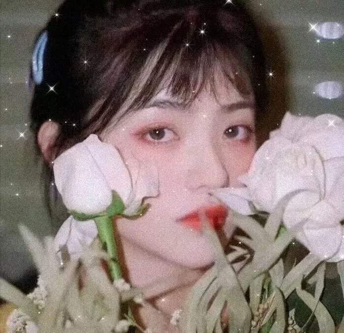 家庭私篇